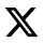 X (Twitter)