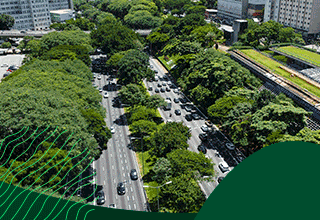 Já reparou que São Paulo tá ficando mais verde?