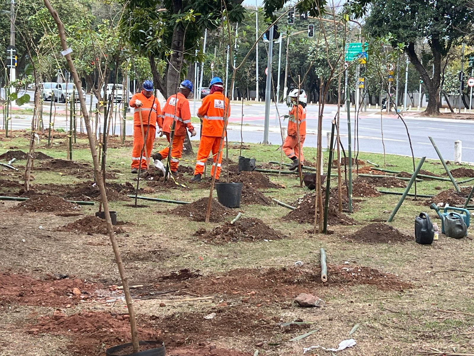 Uma foto tirada ao ar livre de quatro trabalhadores usando uniformes laranjas e capacetes brancos e azuis. Eles estão em uma área de grama e terra, trabalhando no plantio de várias árvores jovens que estão escoradas por estacas. No fundo, há uma rua movimentada com carros, postes de luz e árvores adultas.