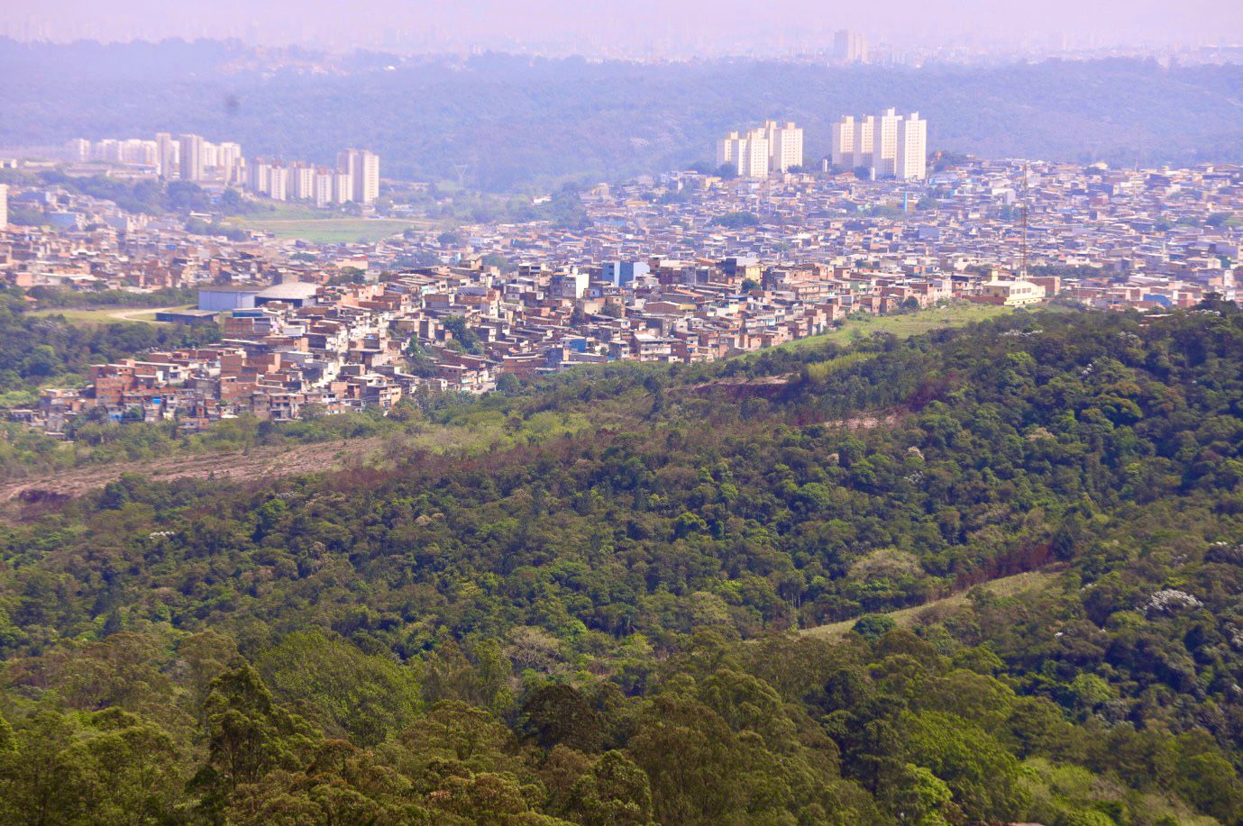 Imagem em plano panorâmico mostrando o contraste entre área urbana e área natural. Em primeiro plano, ocupa grande parte da imagem uma extensa área de vegetação densa, formada por árvores de diferentes alturas, com copas em tons variados de verde escuro, verde médio e verde amarelado. O relevo é irregular, com morros suaves cobertos pela mata.  Logo após a faixa de floresta, no plano médio, surge uma área urbana bastante adensada, composta por inúmeras casas e construções de pequeno e médio porte, muito próximas umas das outras. As edificações apresentam cores variadas, como bege, cinza, marrom, branco e tons de tijolo avermelhado, criando um mosaico visual.  Ao fundo, destacam-se alguns prédios altos e claros, principalmente em tons de branco e cinza claro, que se sobressaem em meio à paisagem urbana. Atrás da cidade, há outra grande área verde, com colinas cobertas por mata em tons de verde acinzentado, suavizados pela distância e por uma leve névoa.  O céu aparece na parte superior da imagem com coloração clara, em tons de rosa muito suave, lilás e azul claro, indicando luminosidade difusa. A imagem transmite a ideia de transição entre natureza preservada e ocupação urbana, com forte contraste de cores entre o verde da mata e os tons neutros das construções.