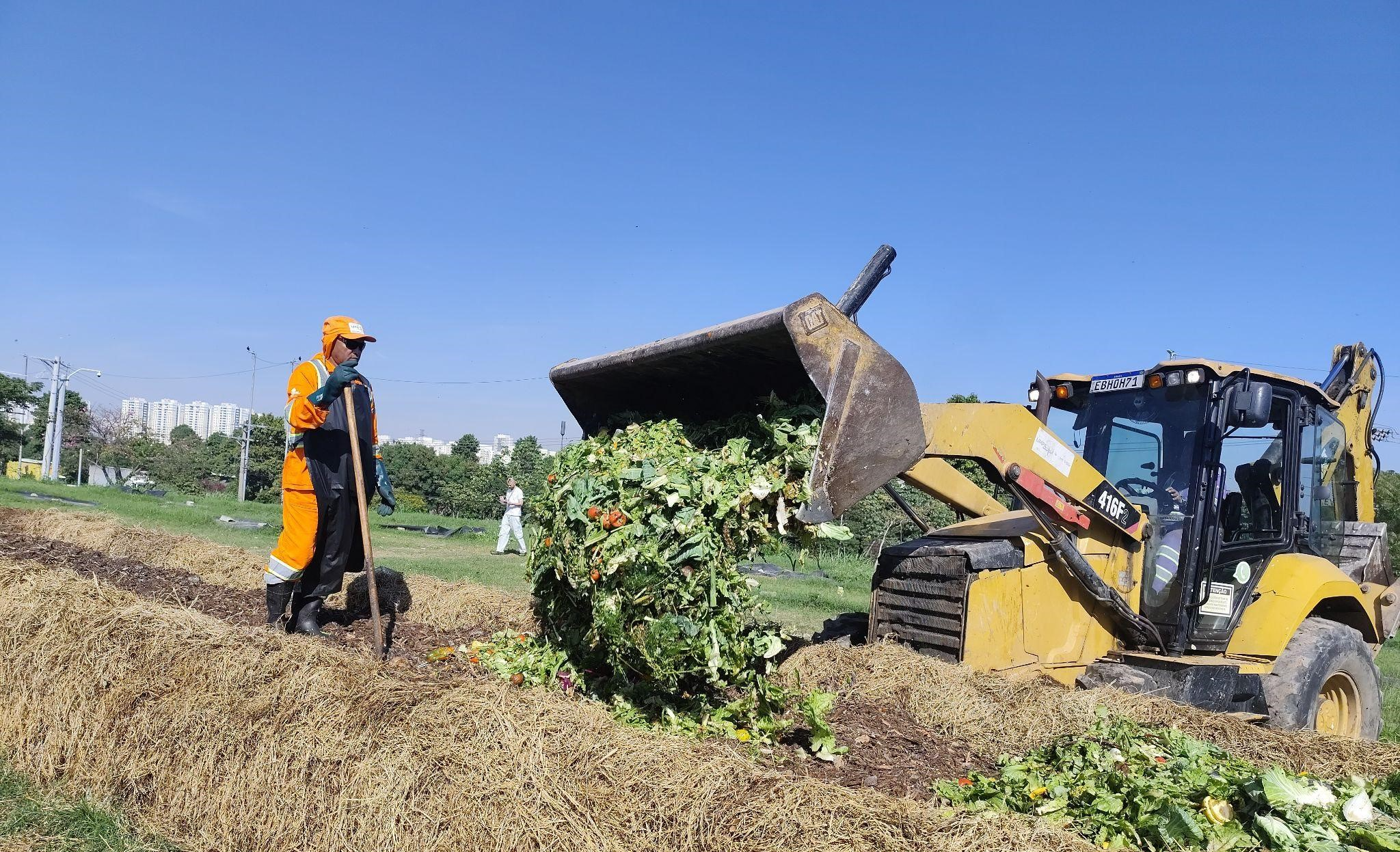 Fotografia em plano aberto, em um dia ensolarado, mostrando o trabalho em um local que parece ser uma área de compostagem ou manejo de resíduos orgânicos.  Em primeiro plano, à esquerda, um trabalhador vestido com uniforme laranja, capacete, luvas e botas de segurança, segura uma ferramenta de cabo longo. Ele está em uma área coberta por uma espessa camada de palha ou feno.  Ao centro e à direita, uma máquina retroescavadeira ou carregadeira de cor amarela, com a caçamba elevada, está descarregando uma grande quantidade de resíduos orgânicos verdes (folhas, restos de vegetais) sobre a pilha de palha.  Ao fundo, a área é plana e gramada, com algumas árvores e, mais distante, prédios de apartamentos ao longe, indicando um ambiente urbano. O céu é azul e limpo.