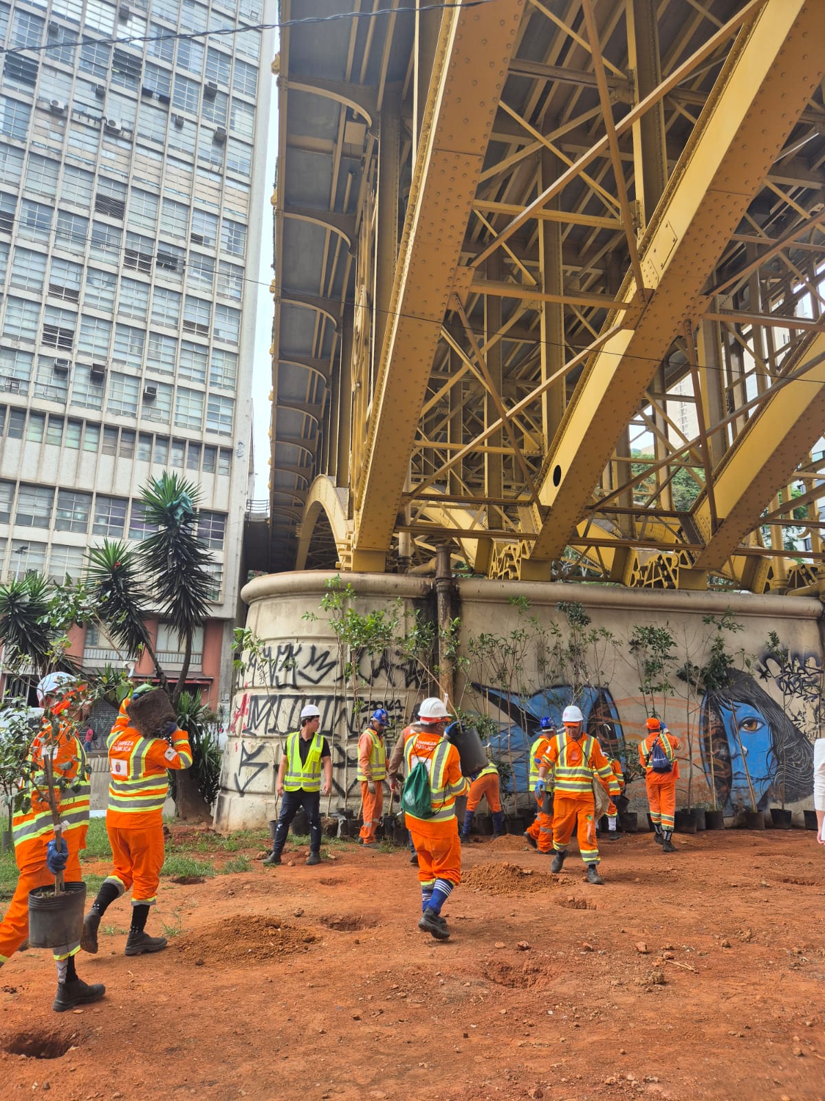 A imagem registra uma ação de plantio de árvores em uma área urbana sob a estrutura de um grande viaduto metálico amarelo. No plano médio, diversos trabalhadores vestindo uniformes laranja com faixas refletivas e capacetes de segurança caminham pelo terreno de terra batida avermelhada, carregando mudas de árvores em vasos pretos. Ao fundo, a pilastra de sustentação do viaduto apresenta diversas pichações e grafites coloridos, incluindo o rosto de uma mulher em tons de azul. À esquerda, destaca-se a fachada lateral de um prédio comercial cinza com várias janelas, enquanto algumas palmeiras baixas aparecem próximas à base da construção. O solo apresenta pequenas covas já preparadas para receber as mudas, e a perspectiva da foto, tirada de um ângulo baixo, enfatiza a complexa rede de vigas metálicas da ponte que ocupa a parte superior da cena.