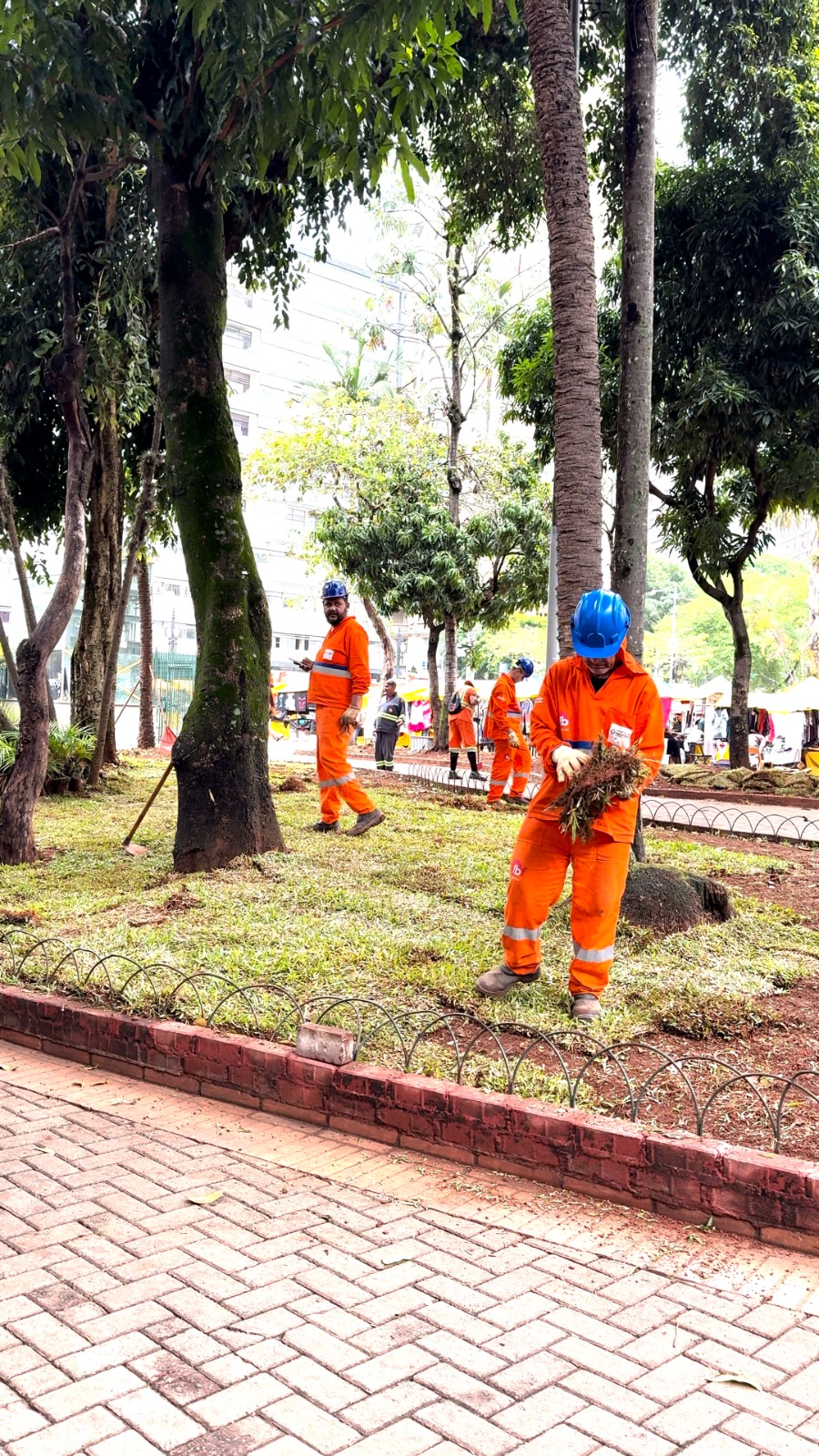 Fotografia de trabalhadores em um parque ou praça realizando manutenção do gramado. Em primeiro plano, no canto inferior, há um muro baixo de tijolos vermelhos e um piso de paralelepípedos. No centro da imagem, vários homens vestindo uniformes de trabalho laranja e capacetes azuis estão trabalhando na área verde. Um deles, em primeiro plano à direita, está curvado e segurando um pedaço de grama que acabou de ser removido ou que será plantado. Outros trabalhadores estão mais ao fundo, entre as árvores. A área verde parece estar sendo replantada ou cuidada, com algumas partes do gramado já removidas. O local é arborizado, com troncos de árvores altos e folhagem verde. O ambiente é diurno.